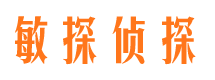 龙湖市私家侦探